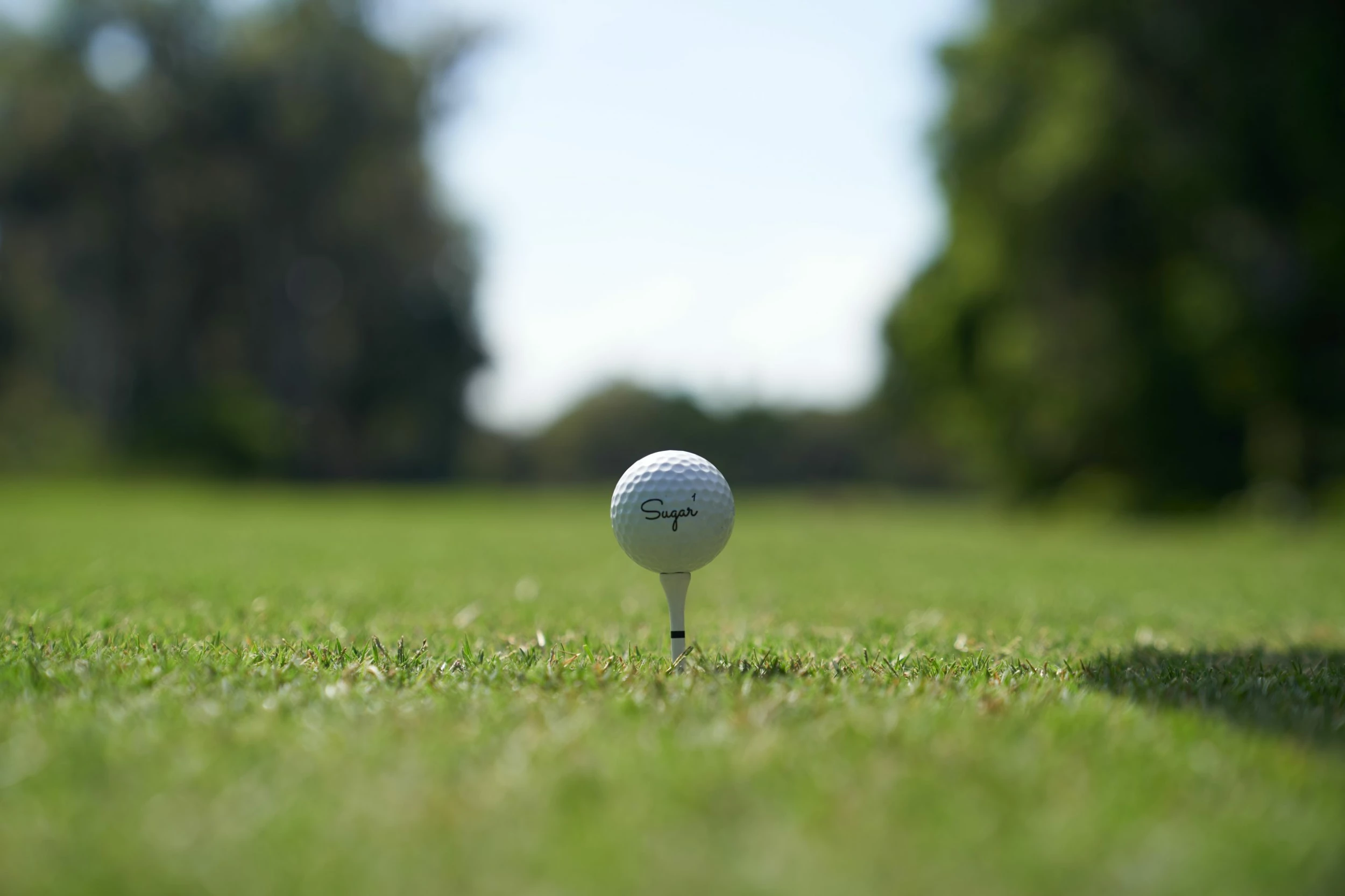 Clubs Sales Shop -Clubs Sales Shop sugar golf cJbgtu57RIA unsplash scaled